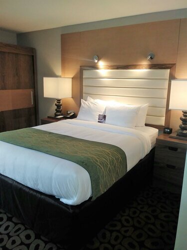 Гостиница Comfort Inn Raleigh Midtown в Роли