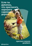 Садовник Сара Бергер (Krasniy Posyolok Village, 1А) ، العناية بالحدائق