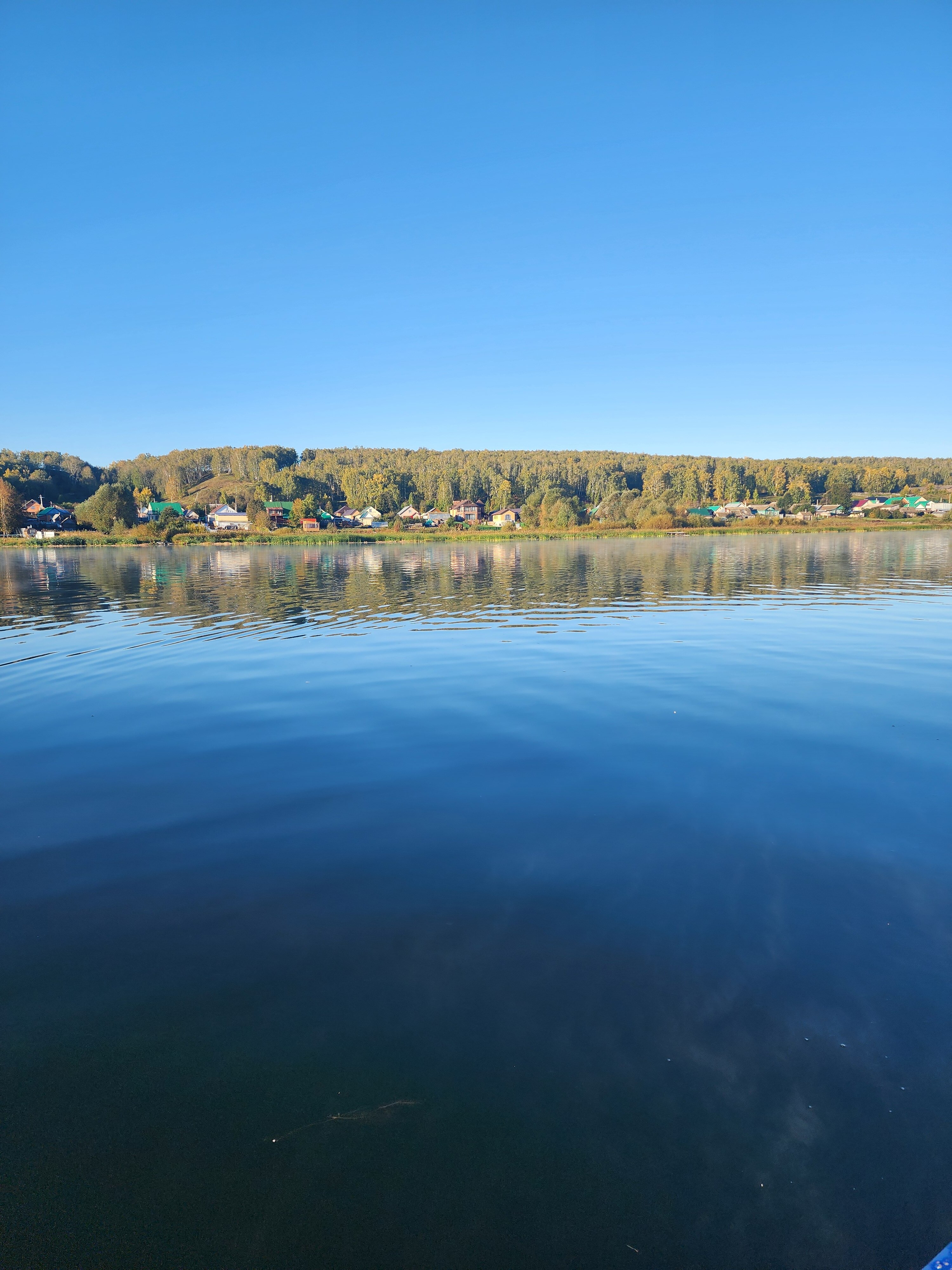 Фото Берёзка Кандрыкуль