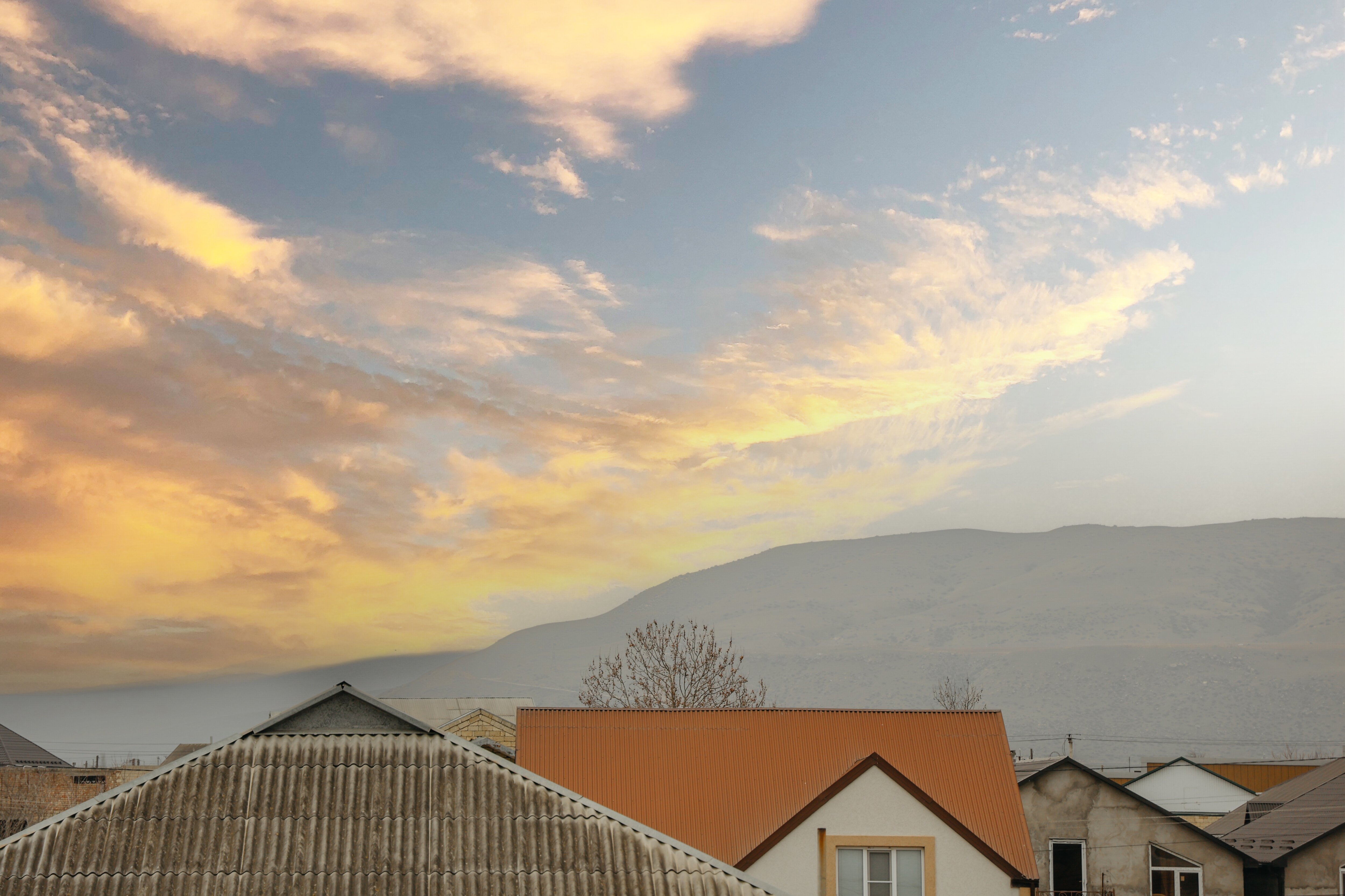 Фото Бархал