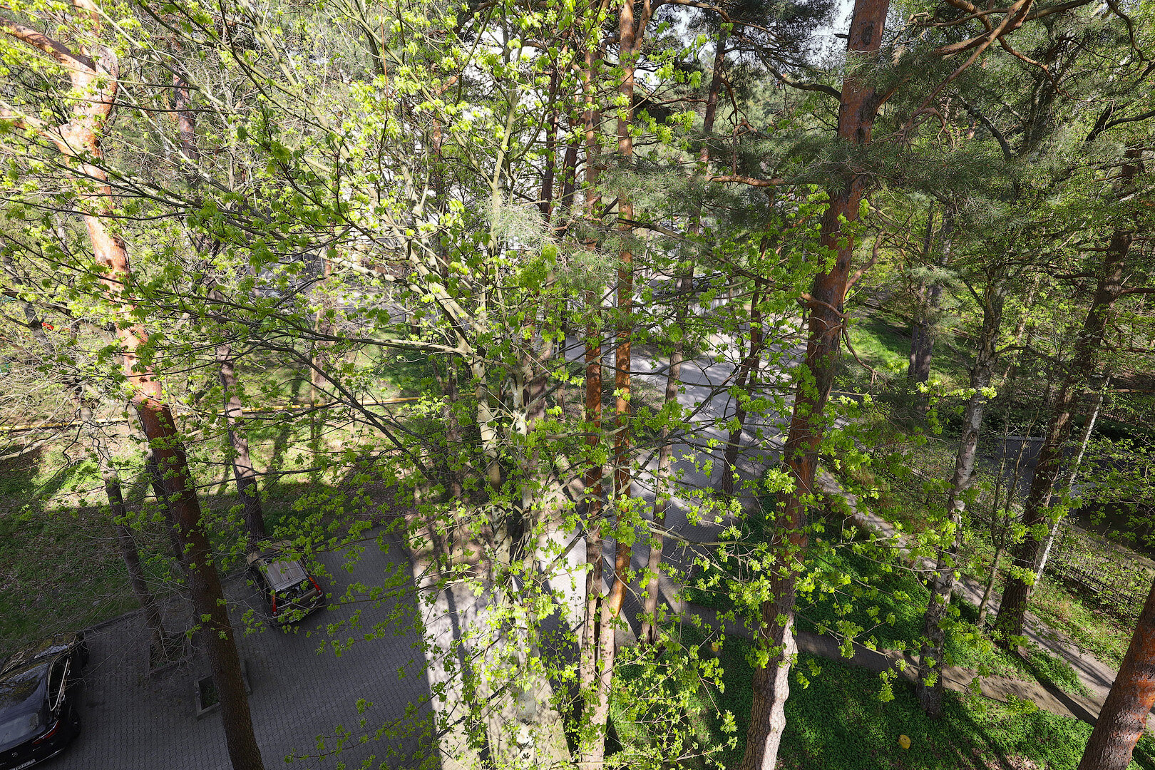 Фото БалтикАпарт Сити центр