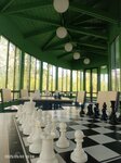 Шахматный павильон (Altai Territory, Barnaul, Izumrudniy Park), infraestructura de ocio