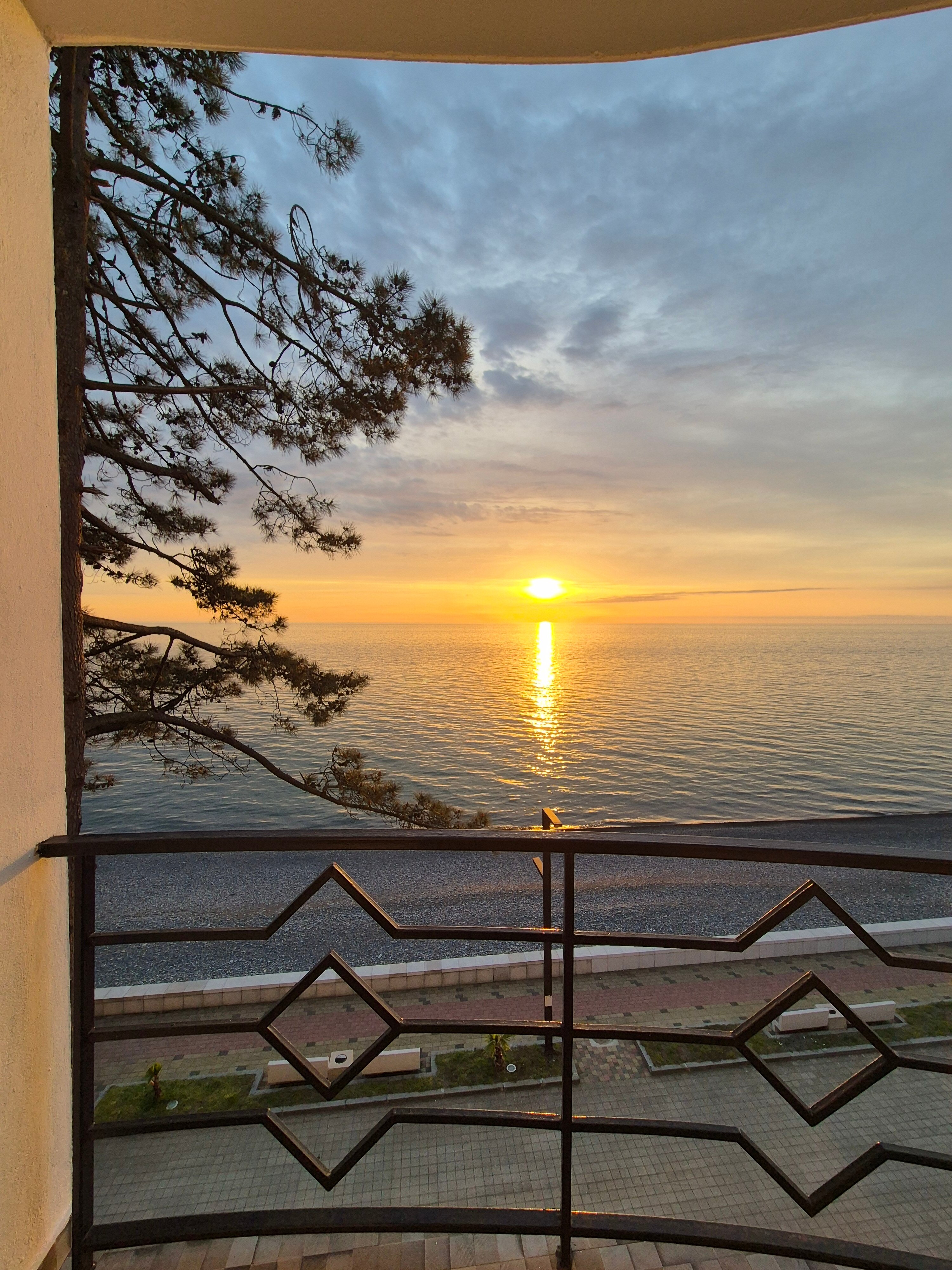 Фото Hotel Medusa