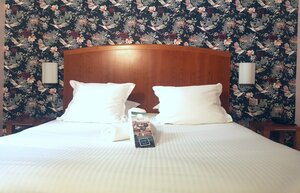 Grand Hotel Dauphine (Тулон, Rue Berthelot, 10), гостиница в Тулоне