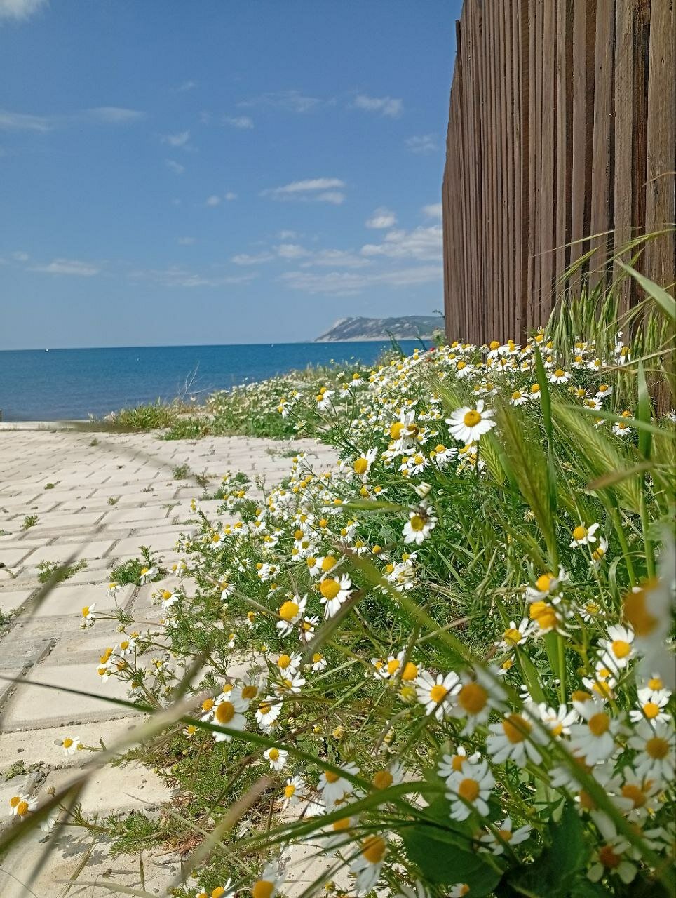 Фото Море и солнце