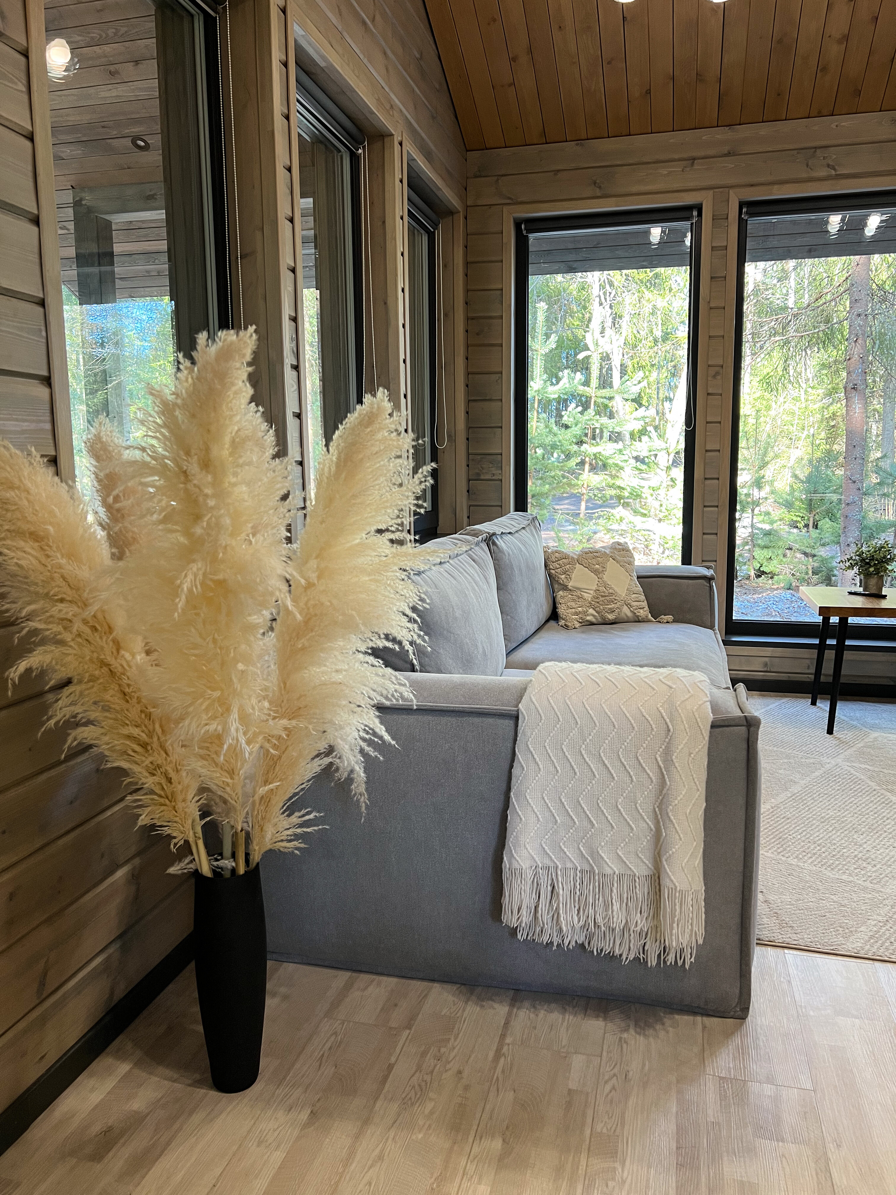 Фото Smell Of The Forest