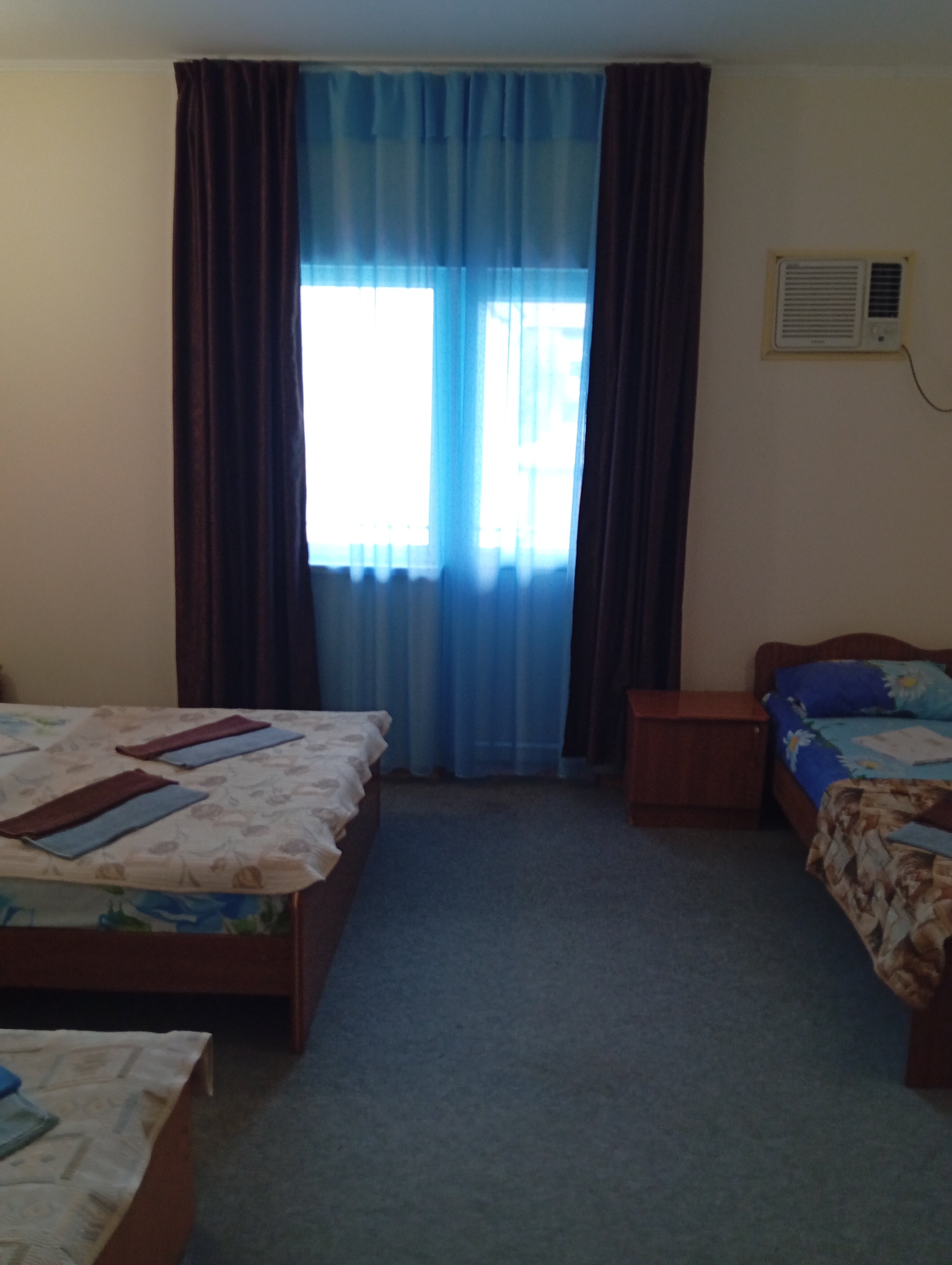 Фото Серебристая Чайка