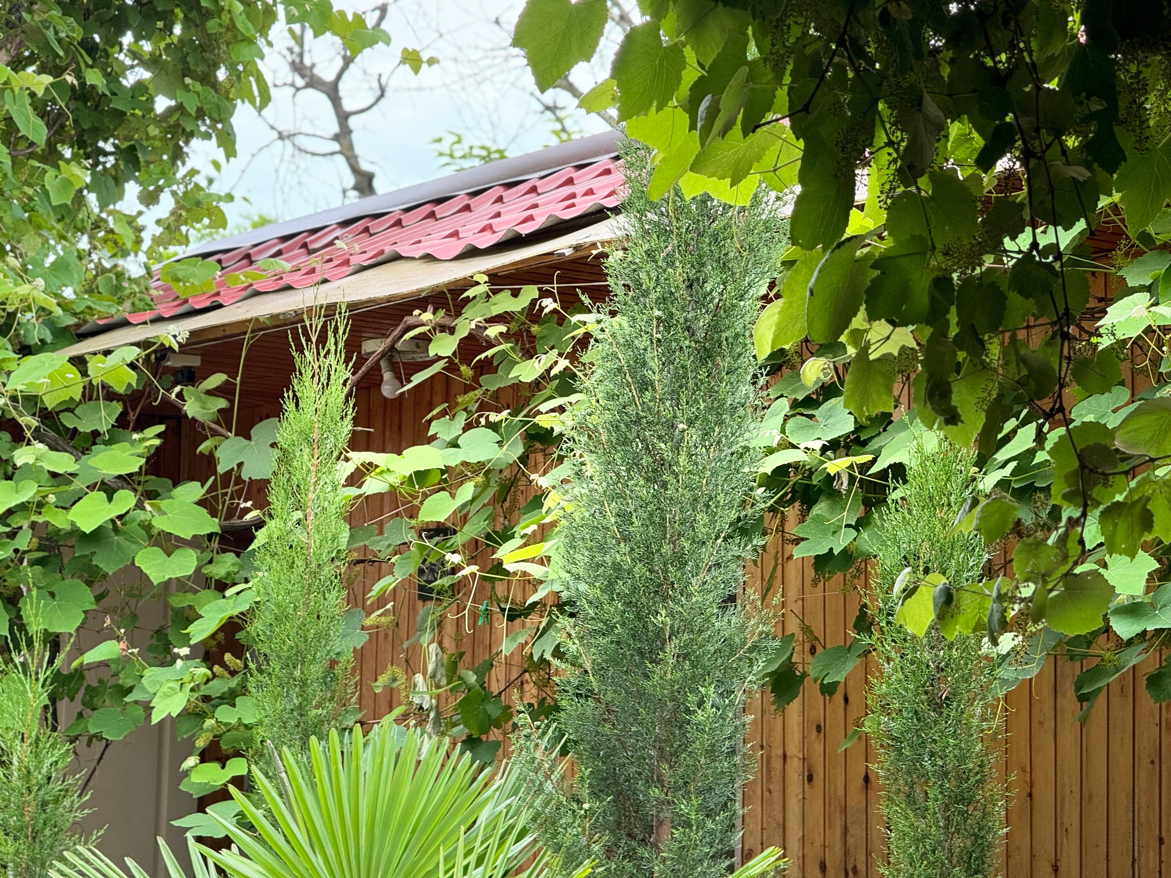 Фото Hotel Damir