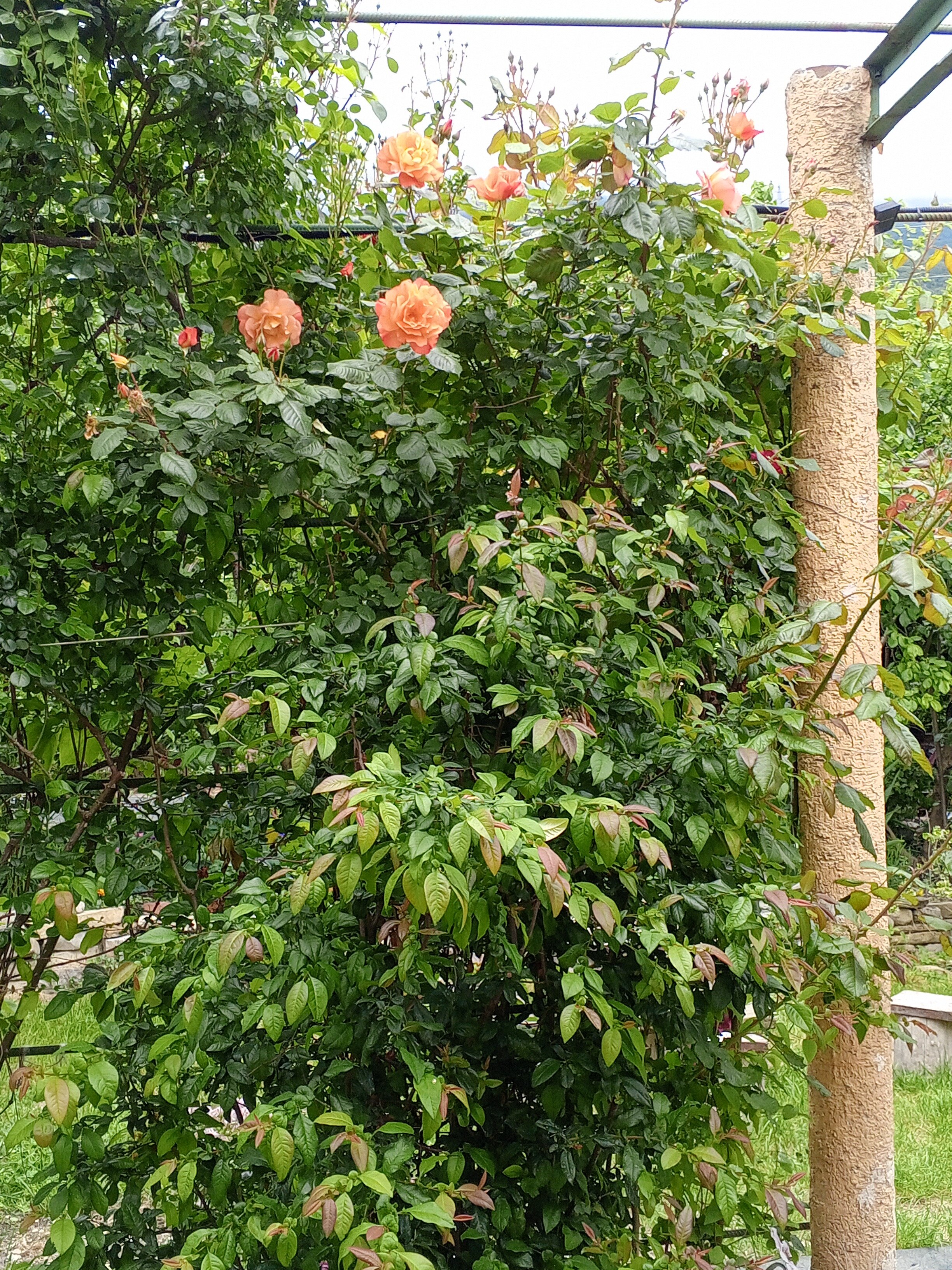 Фото У Боцмана