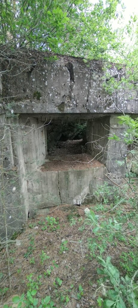Landmark, attraction Орудийно-пулемётный полукапонир 024 опорного пункта Саковичи, Minsk District, photo