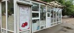Цветы (Kholzunova Street, 111Б), flower shop