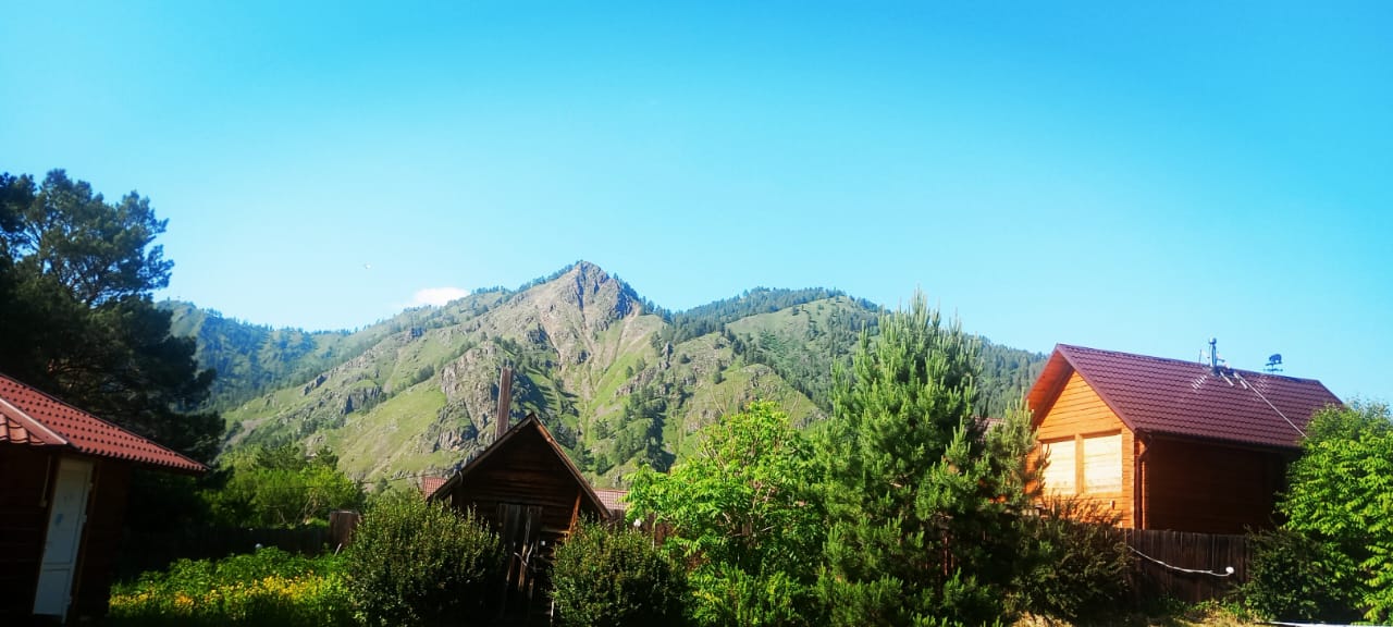 Фото Индиго