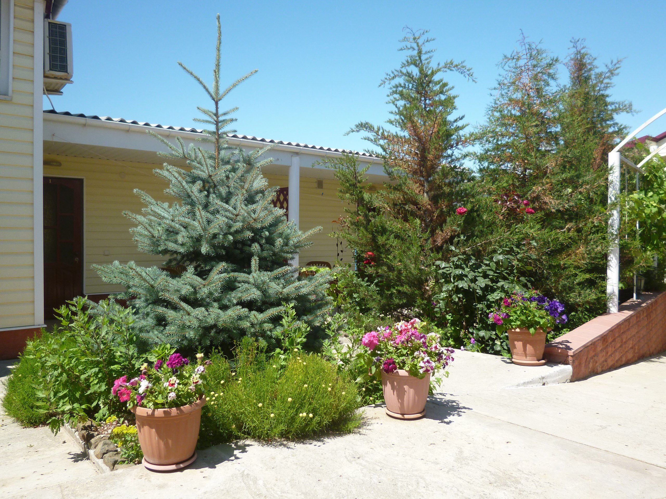 Фото Лукулл