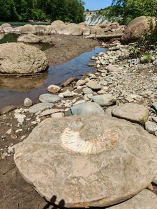 Valley of the ammonites (Republic of Adygea, Maykopsky District, A-159, 33-kilometr), landmark, attraction