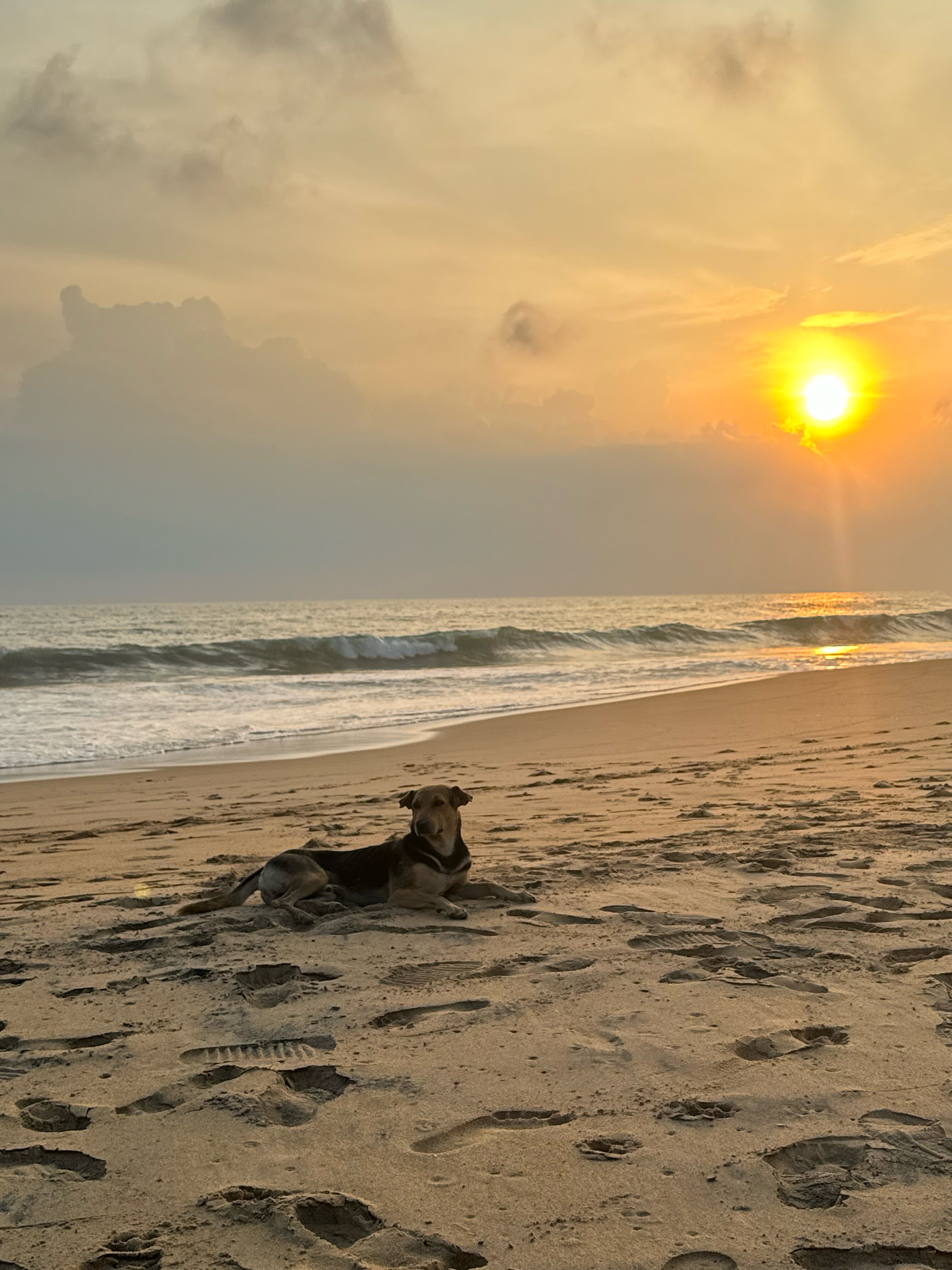 Фото Riff Hikkaduwa