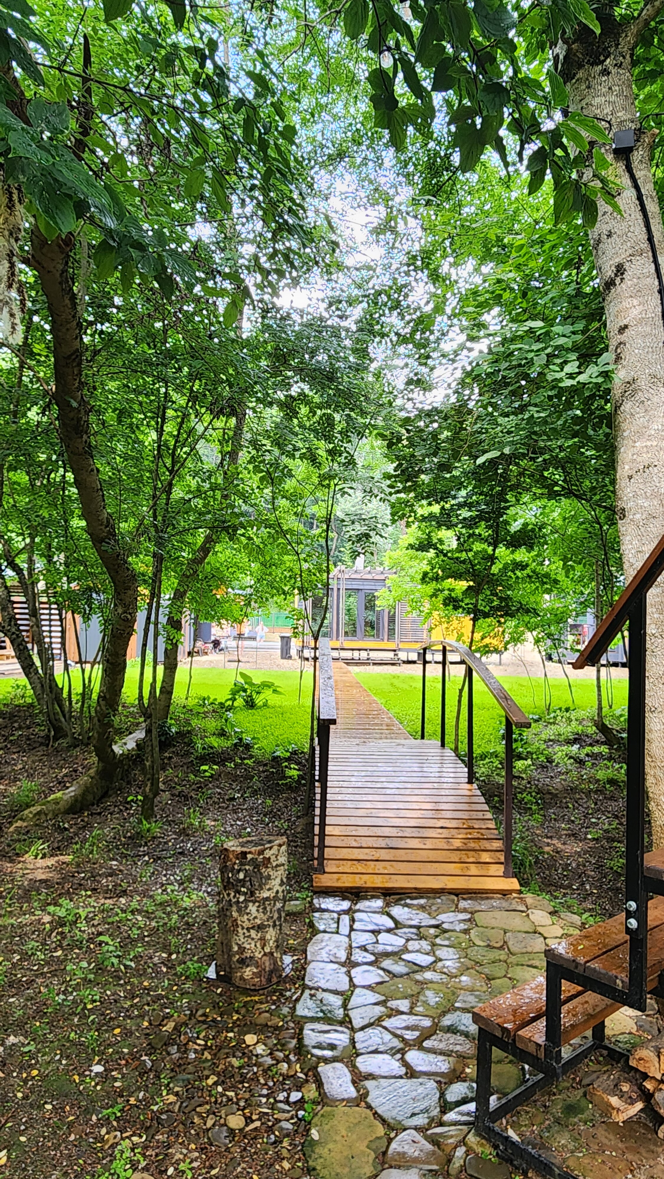 Фото Шелест