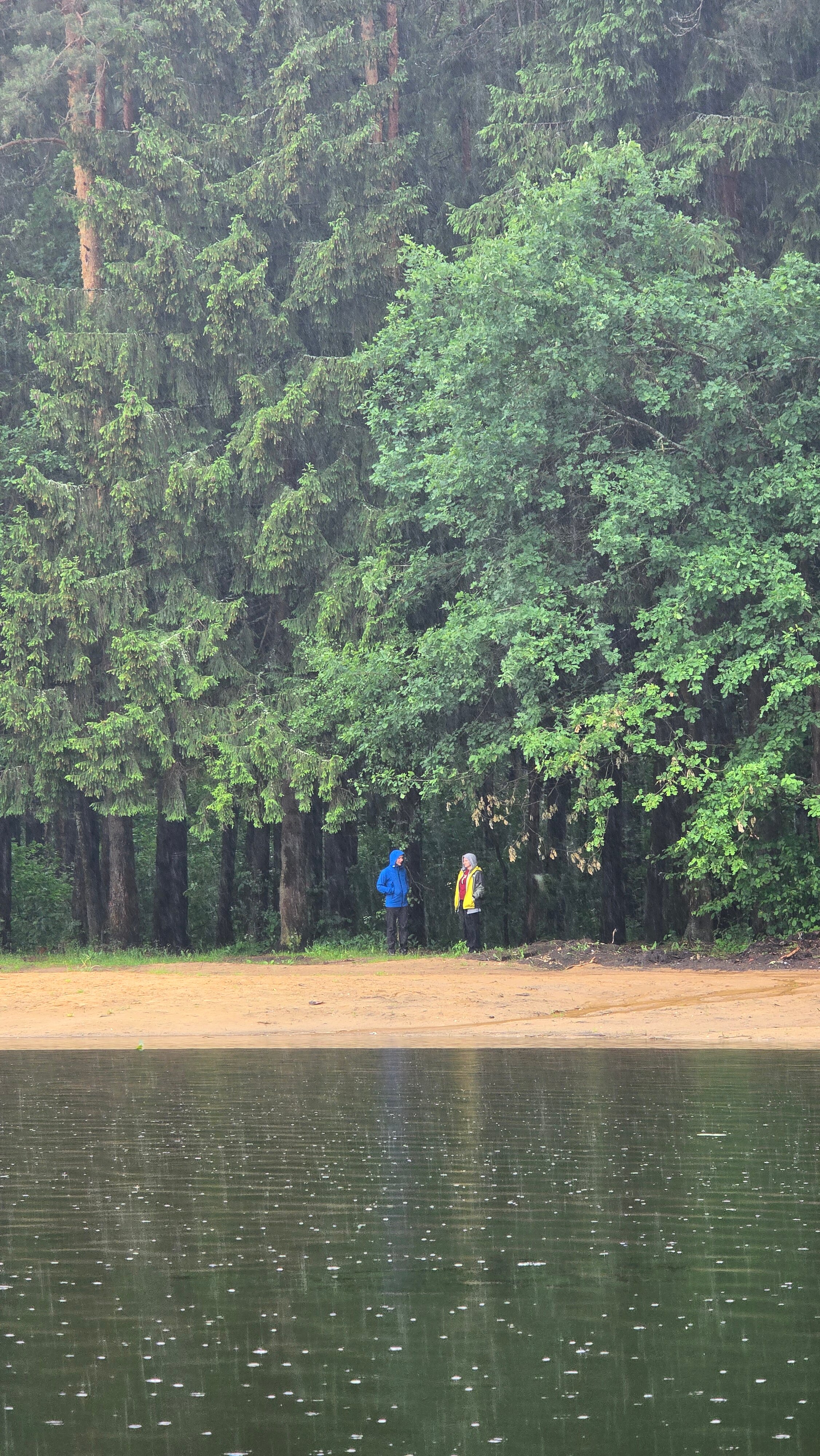 Фото Озеро белых лилий