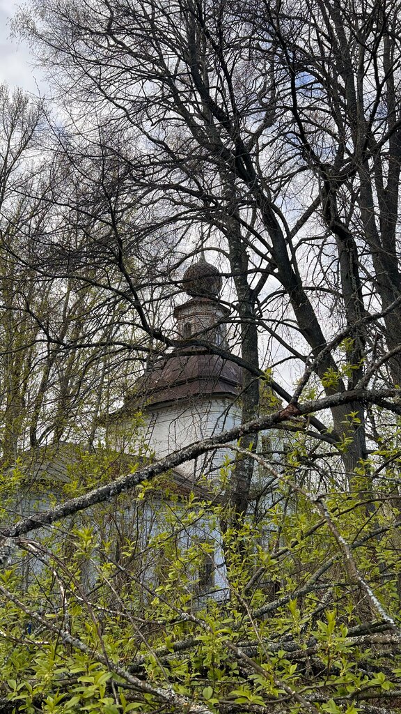 Orthodox church Церковь Рождества Богородицы в Кишине, Kostroma Oblast, photo