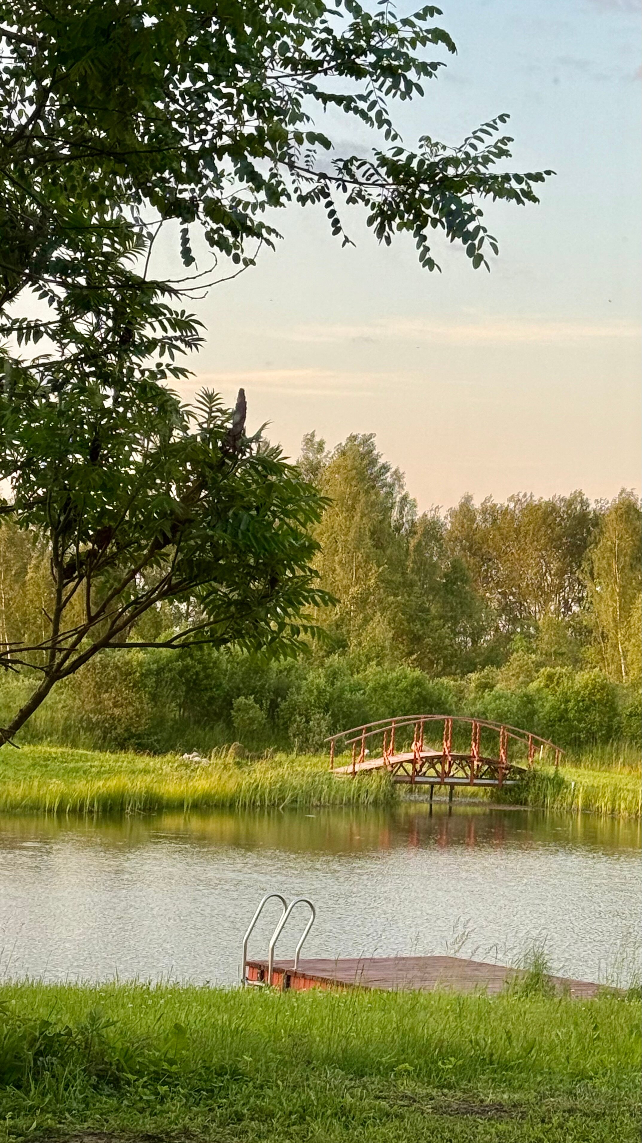 Фото Псковские дали