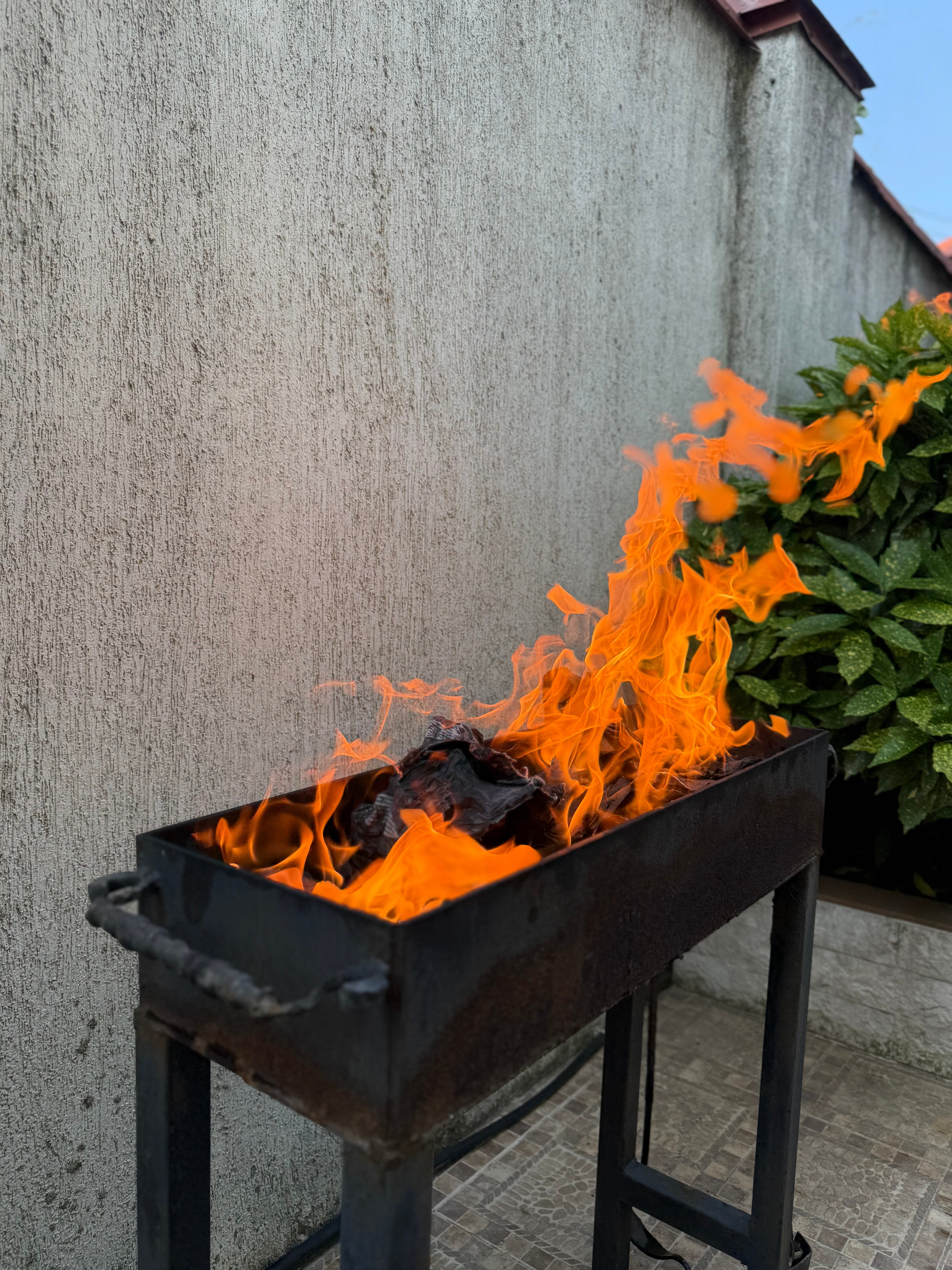 Фото Вилла Натали