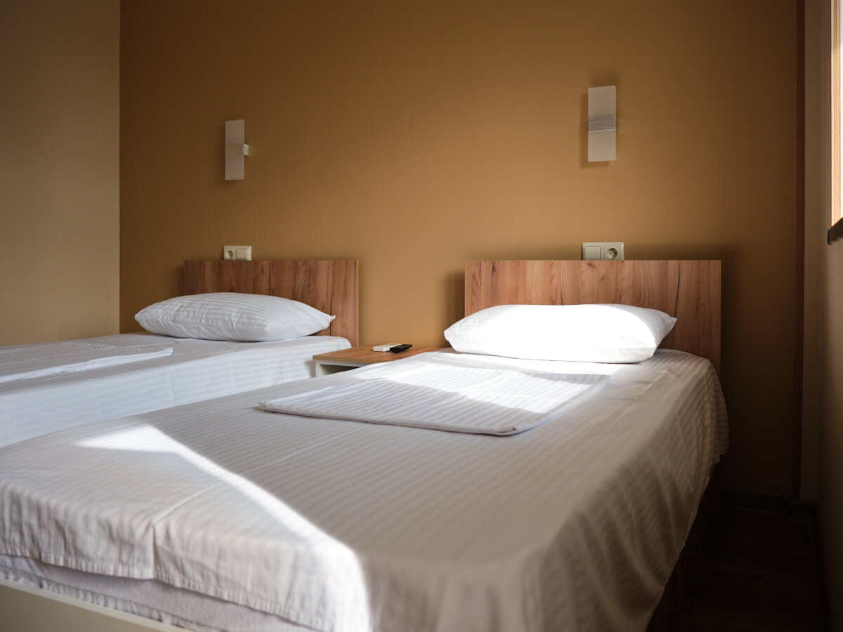 Фото Малина