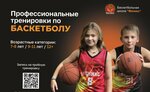 Phoenix Basket (Salvadora Alyende Street, 6), sports club