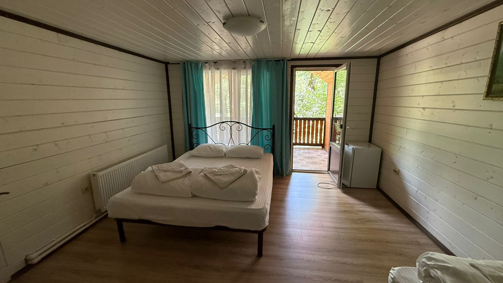 Фото Кактус Арт