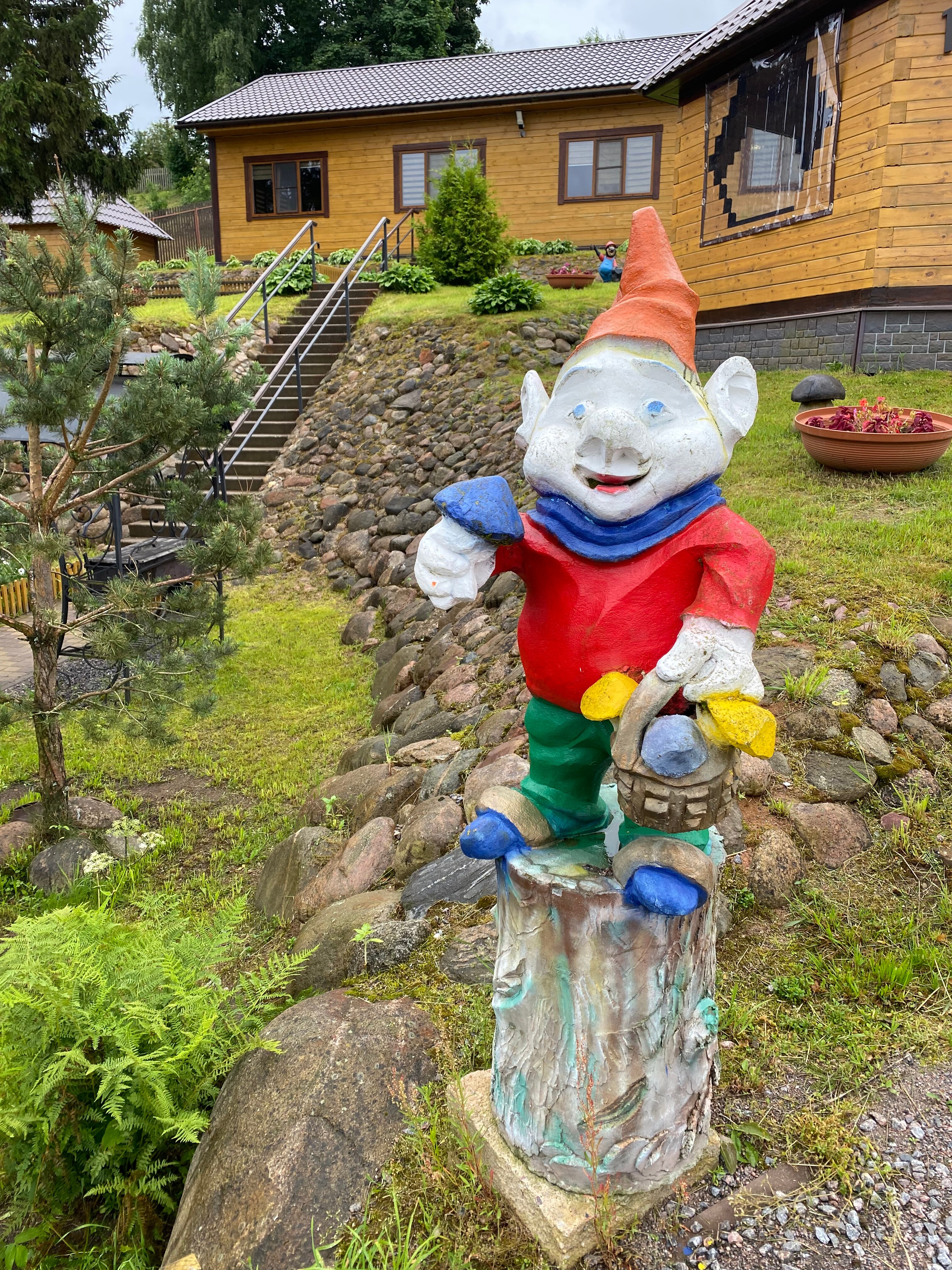 Фото Солнечная