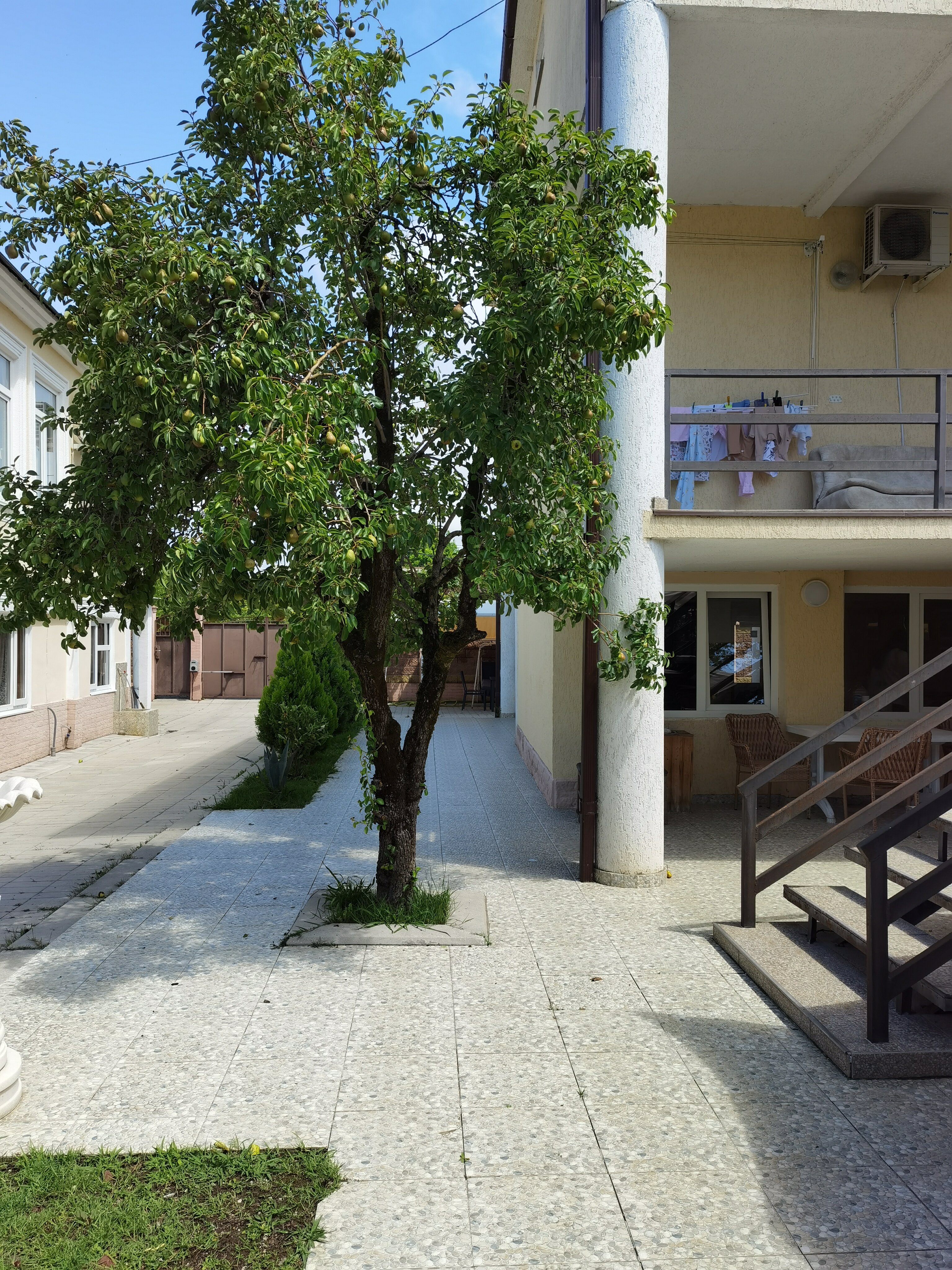 Фото Розалин