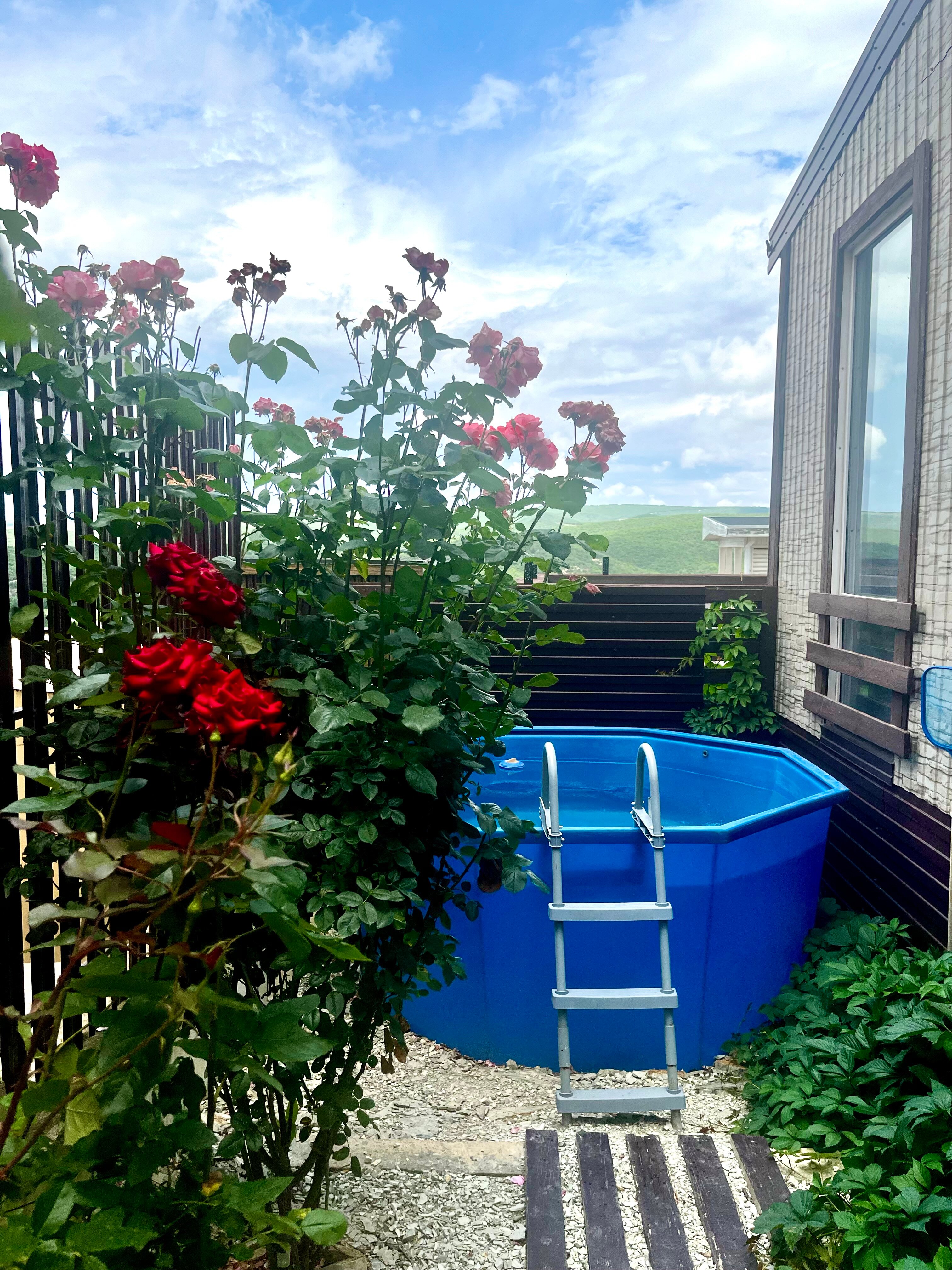 Фото Villa Palermo