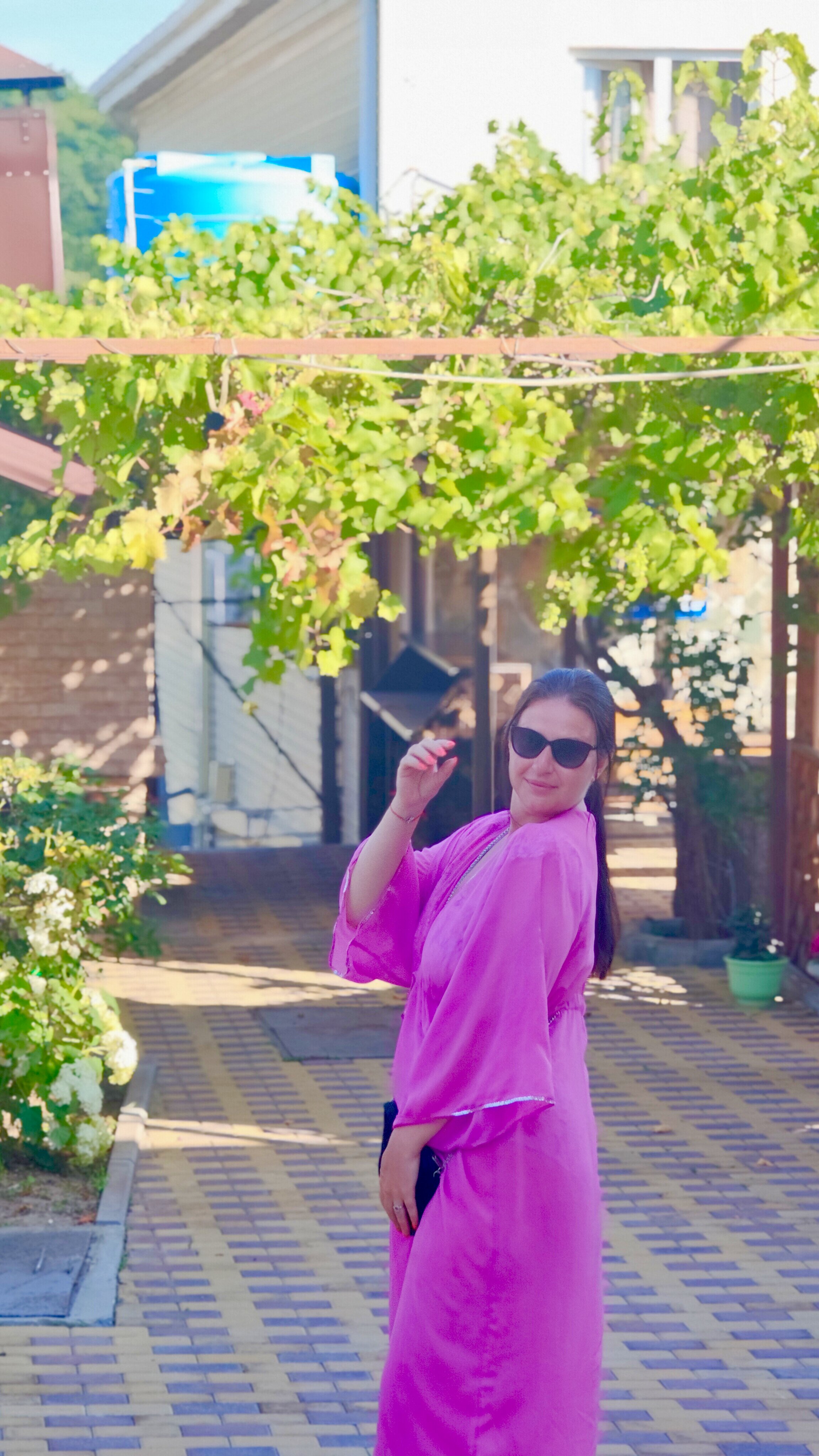 Фото Дельфин