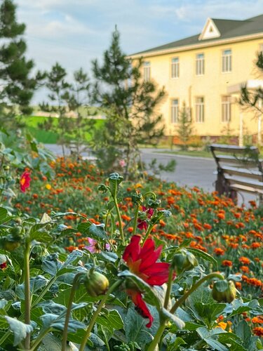 Духтари точик секс фильм