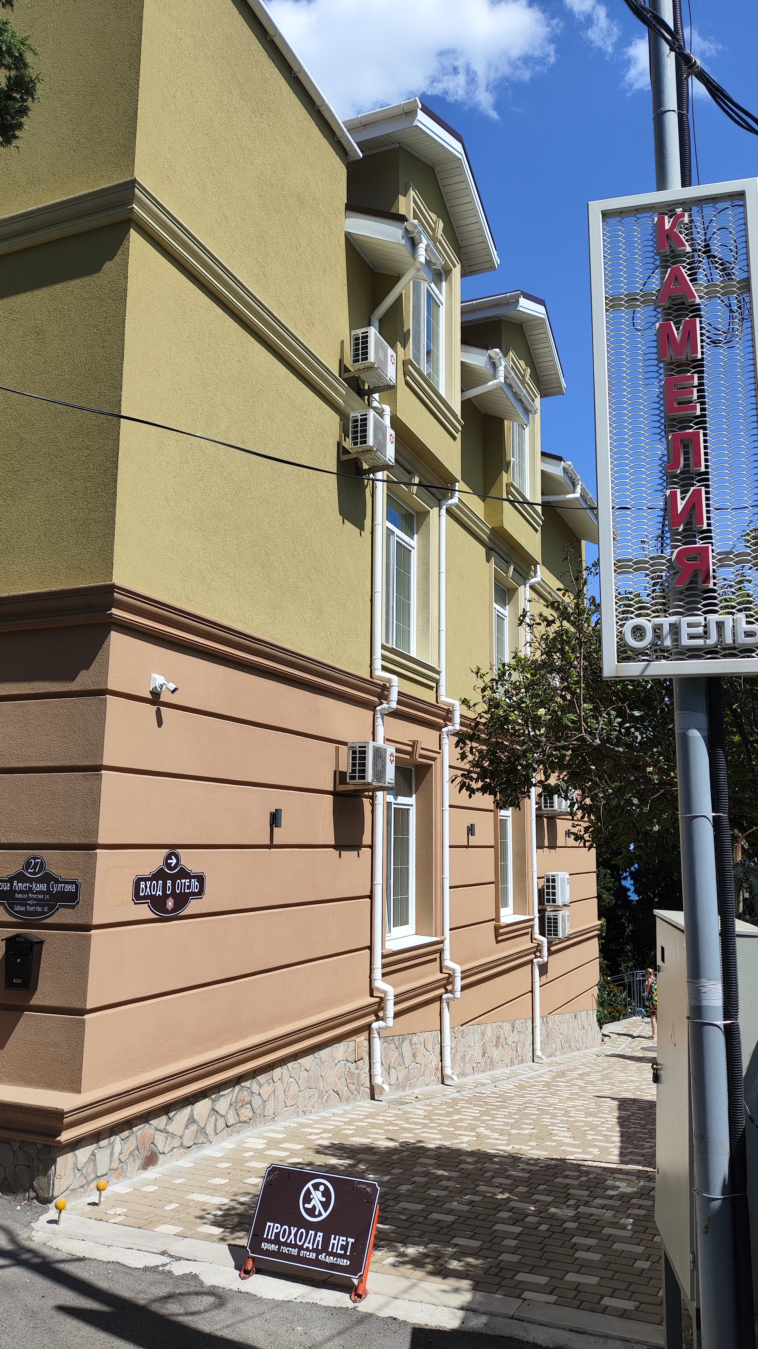 Фото Камелия