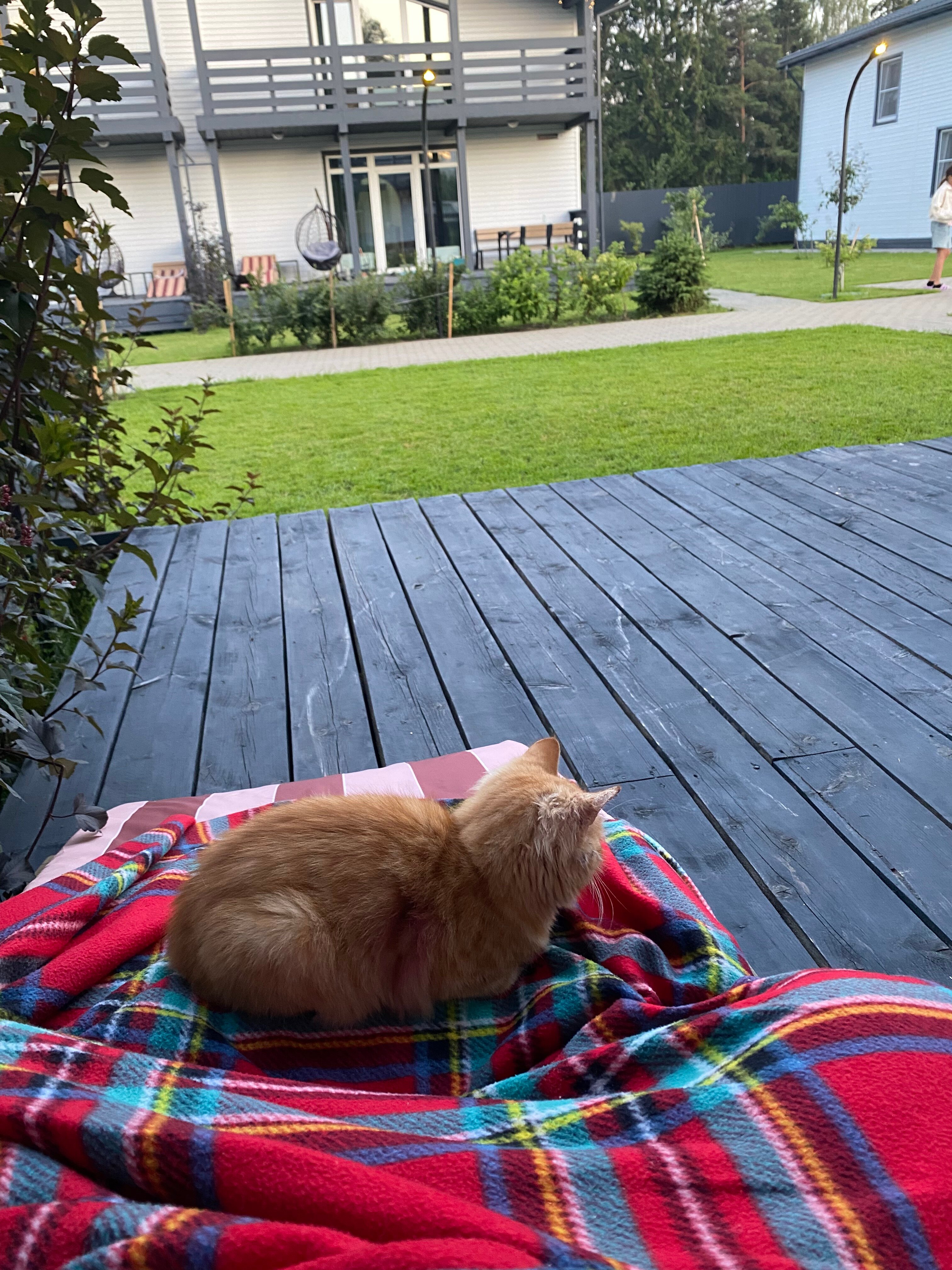 Фото Саблинские Дачи