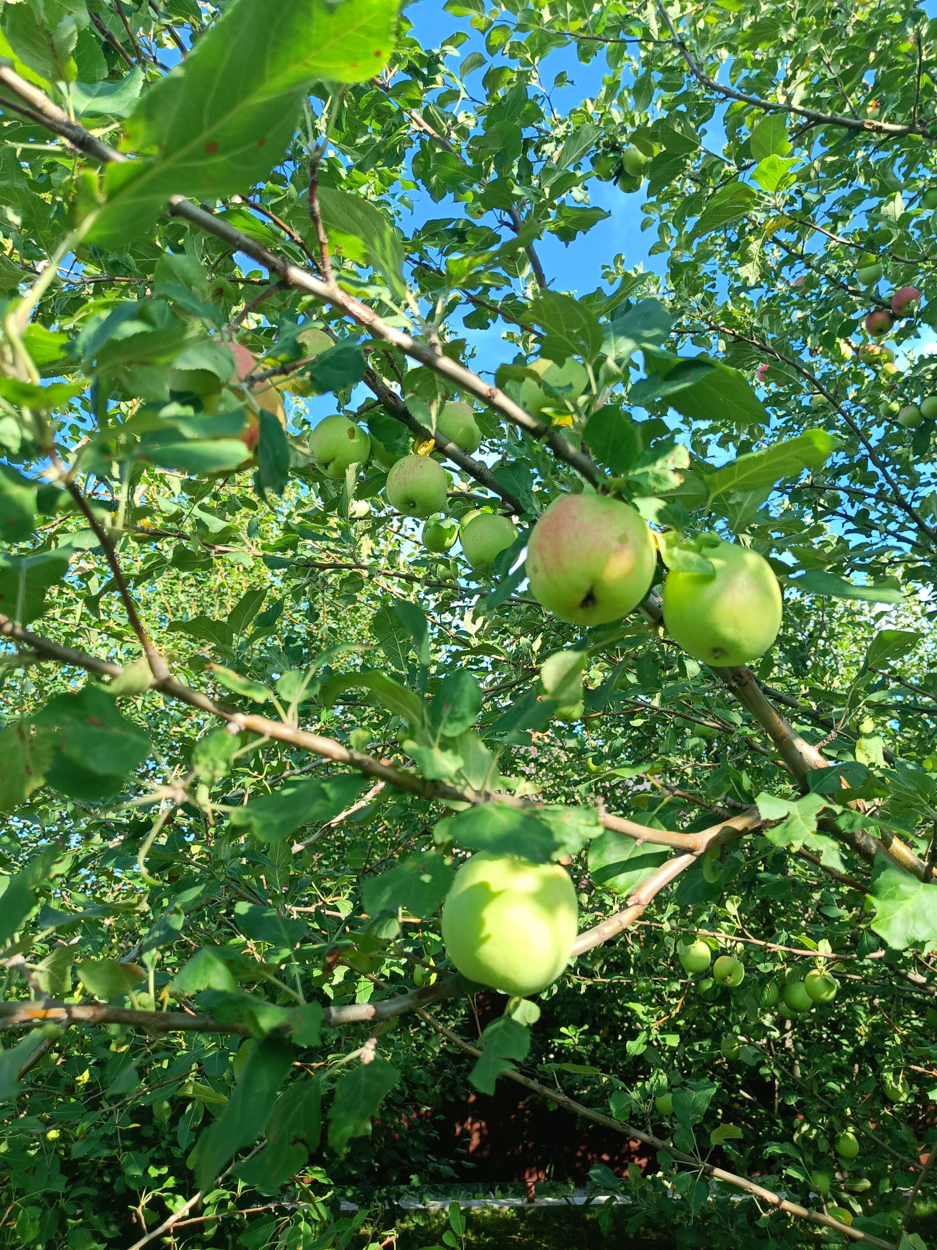 Фото Гостевой Двор