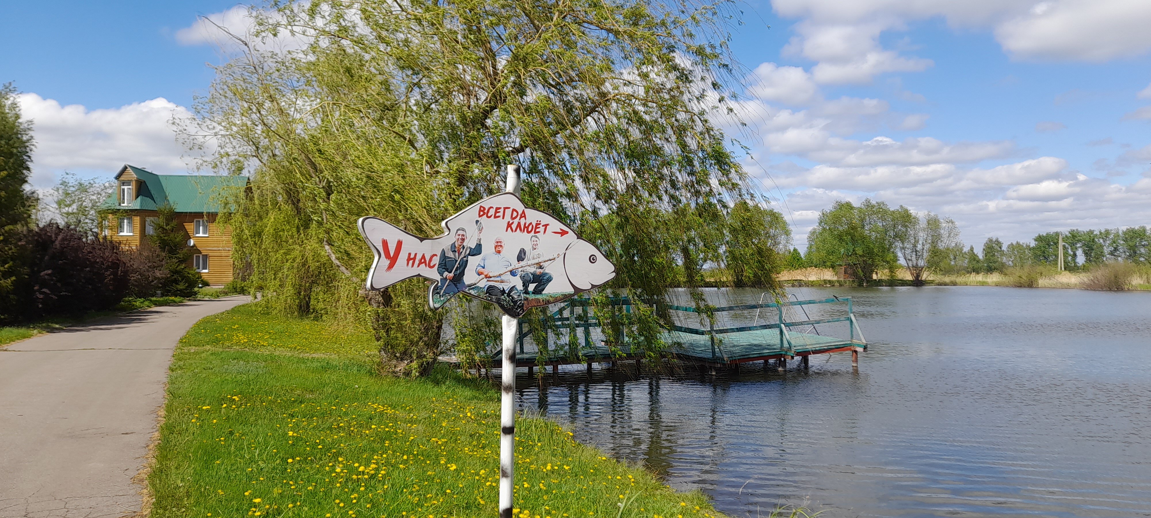 Фото Zолотой саZан