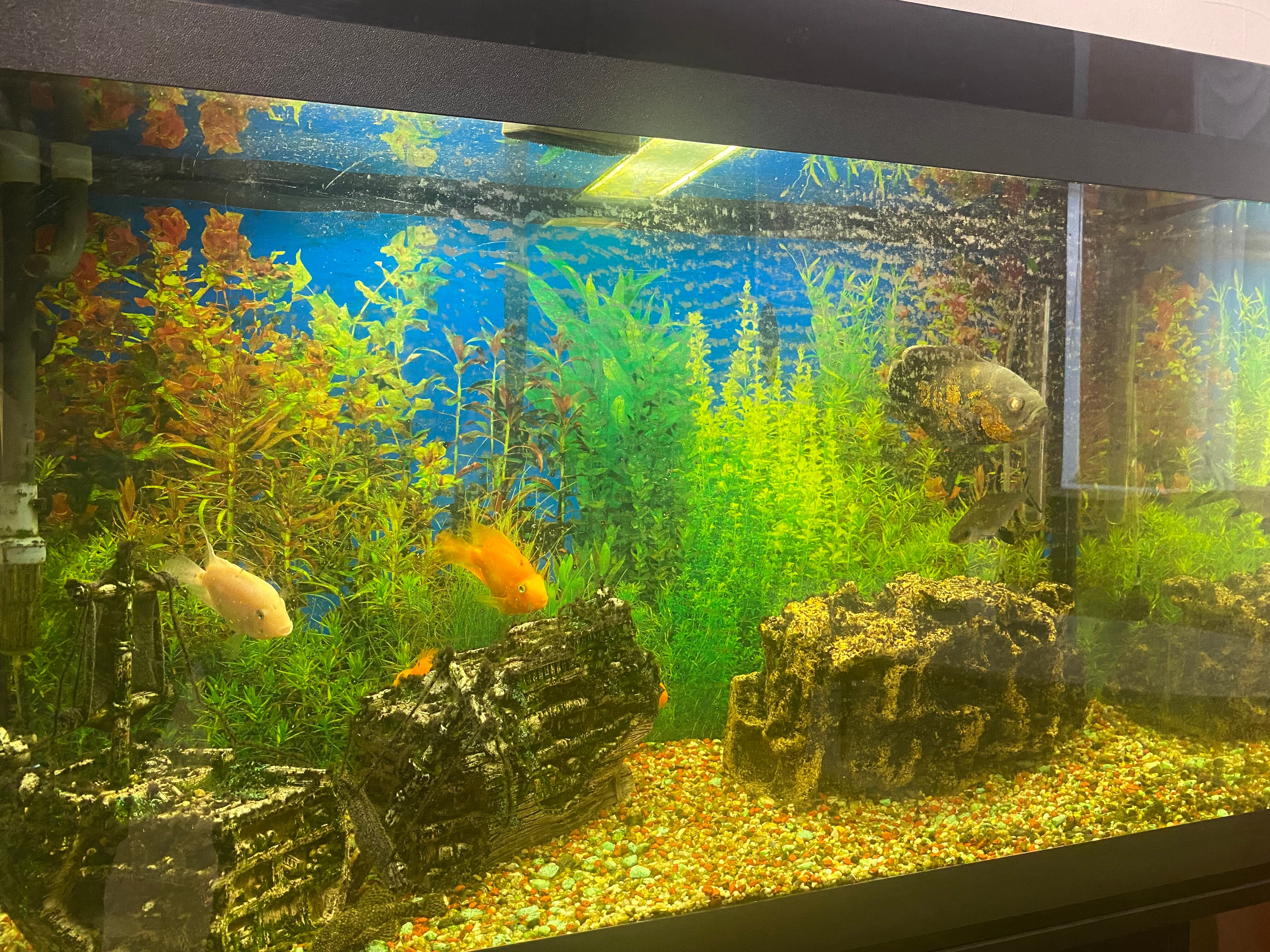 Фото Советская