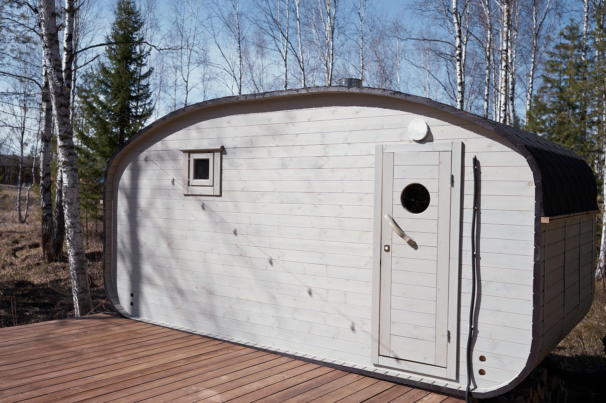 Фото Снежные Гуси