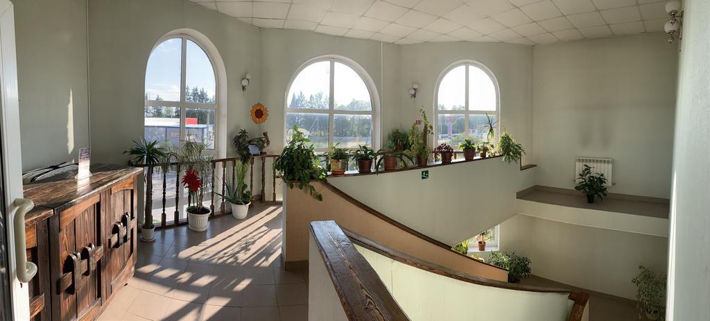 Фото Три льва