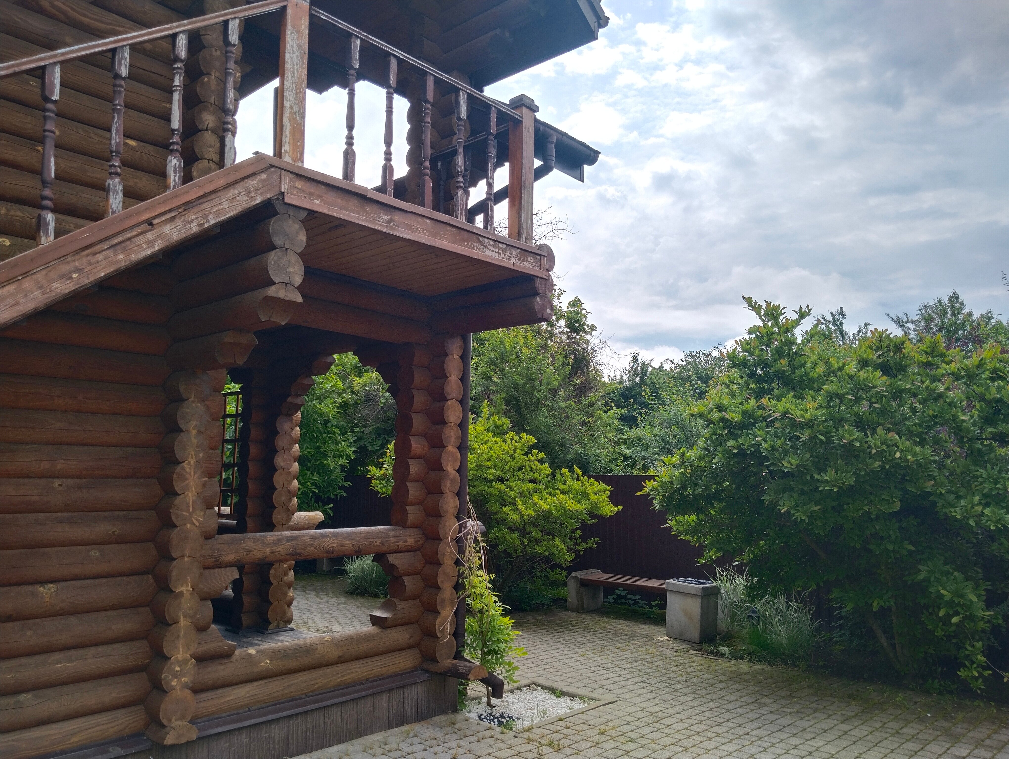 Фото Вербена