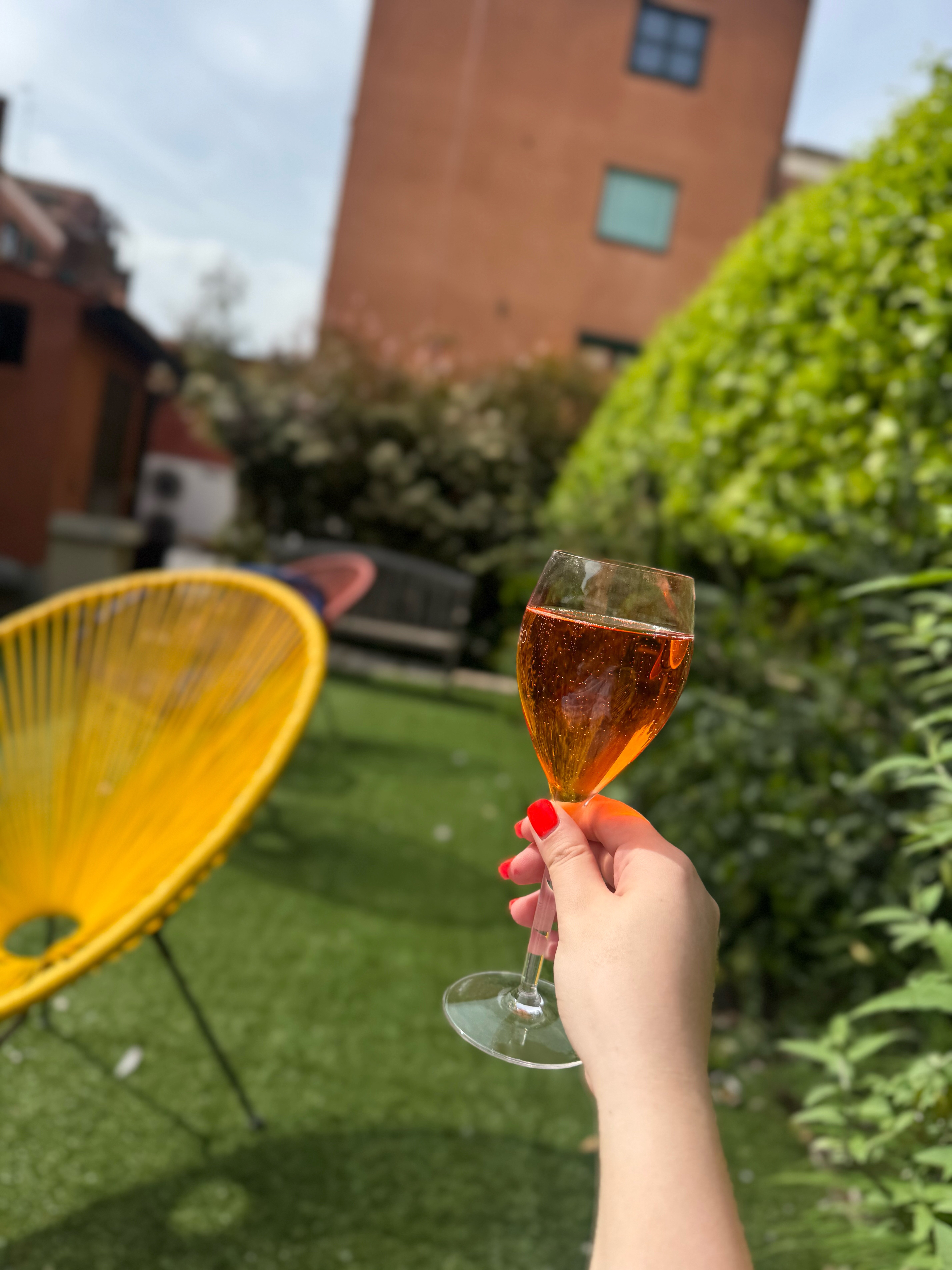 Фото Hotel Villa Rosa