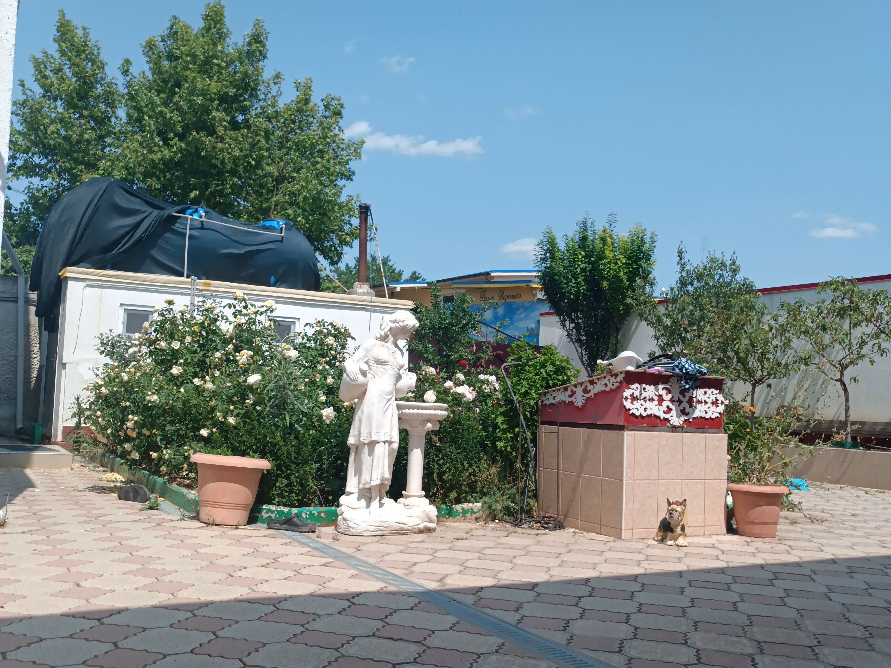 Фото Александра