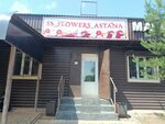 Ss_flowers_astana (Ońtústik-Shyǵys shaǵyn aýdany (oń jaǵy), Sulýtóbe kóshesi, 7) ، محل زهور