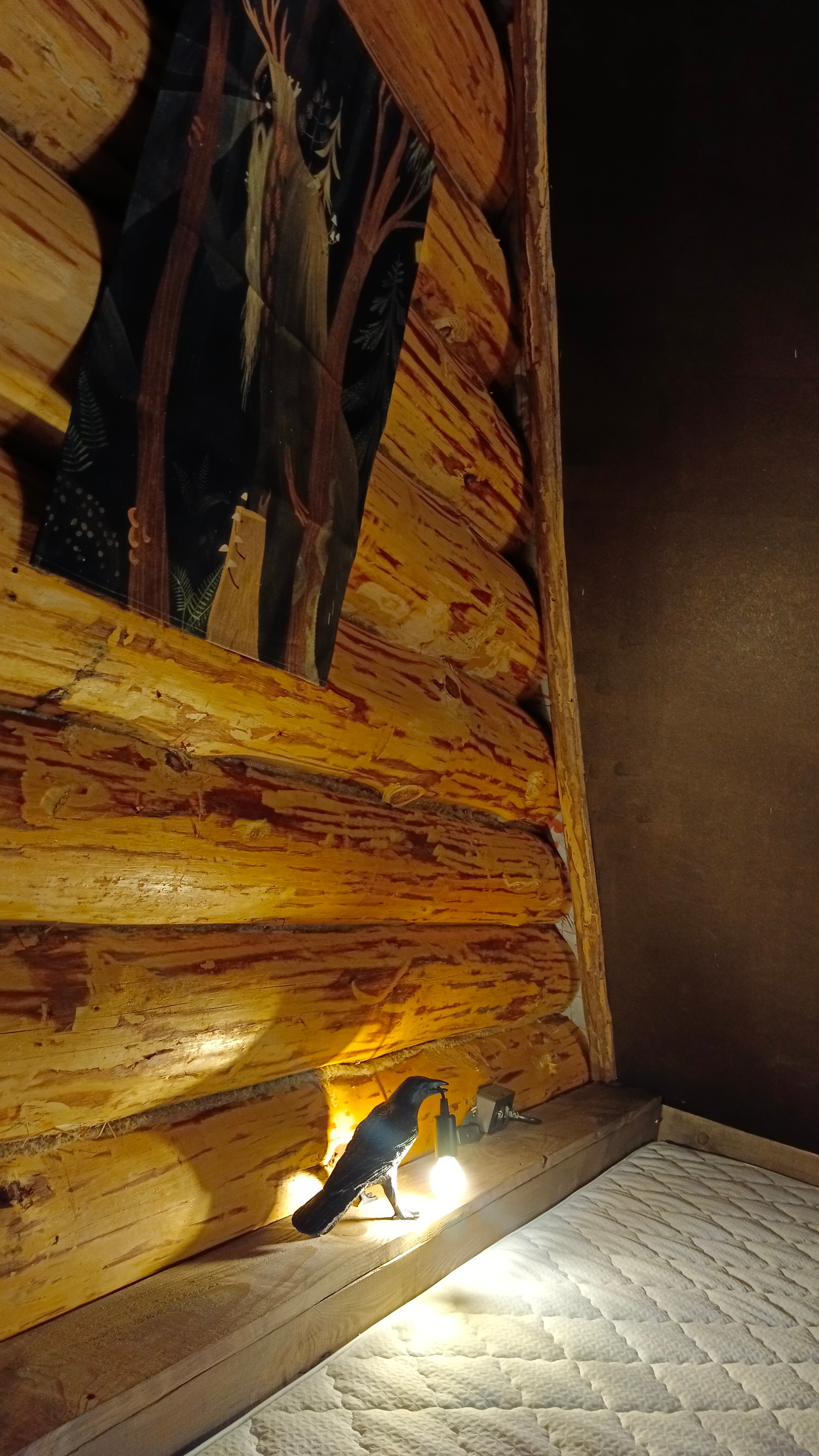 Фото Дом Варяга