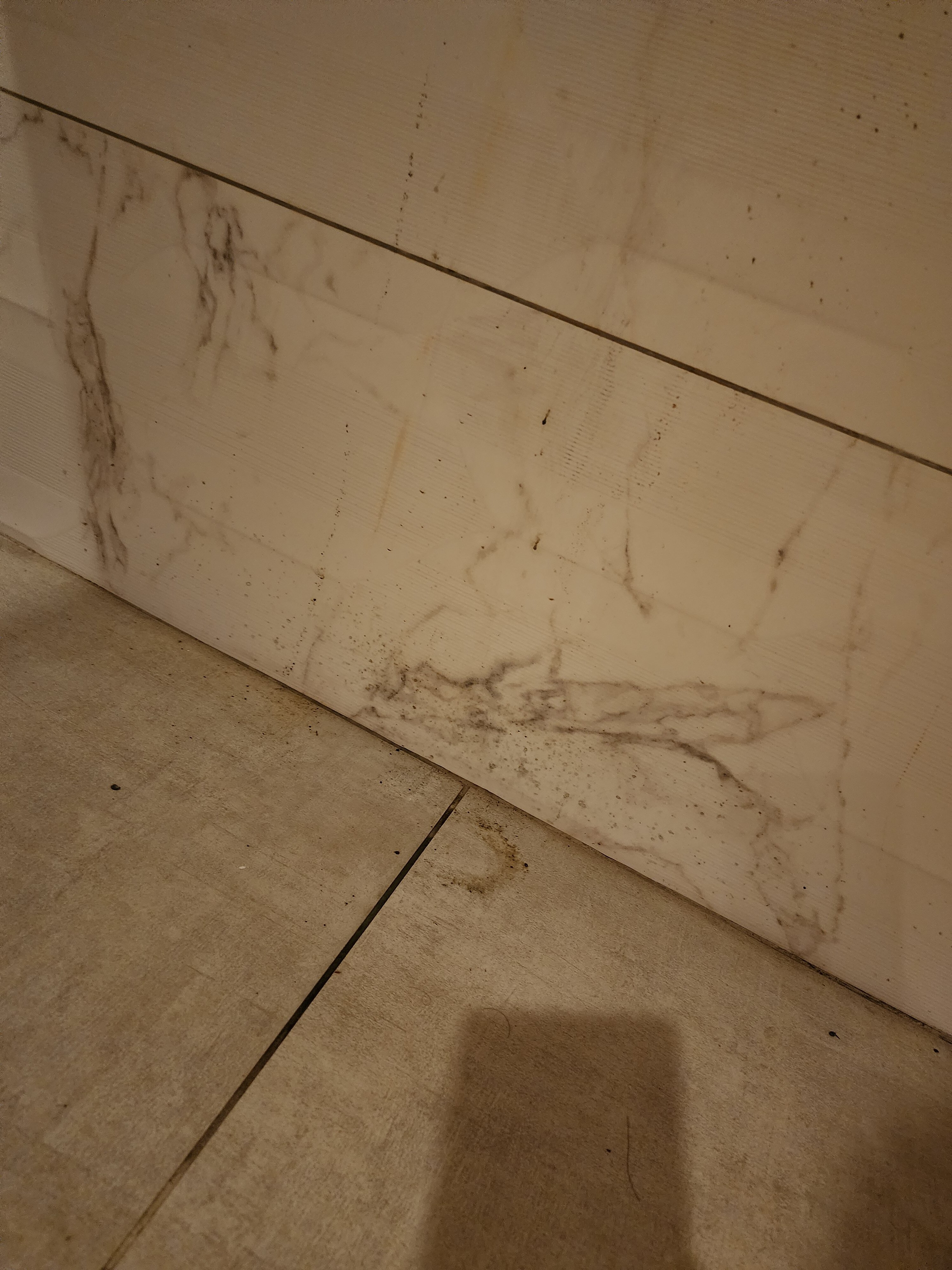 Фото Ikont Hotel