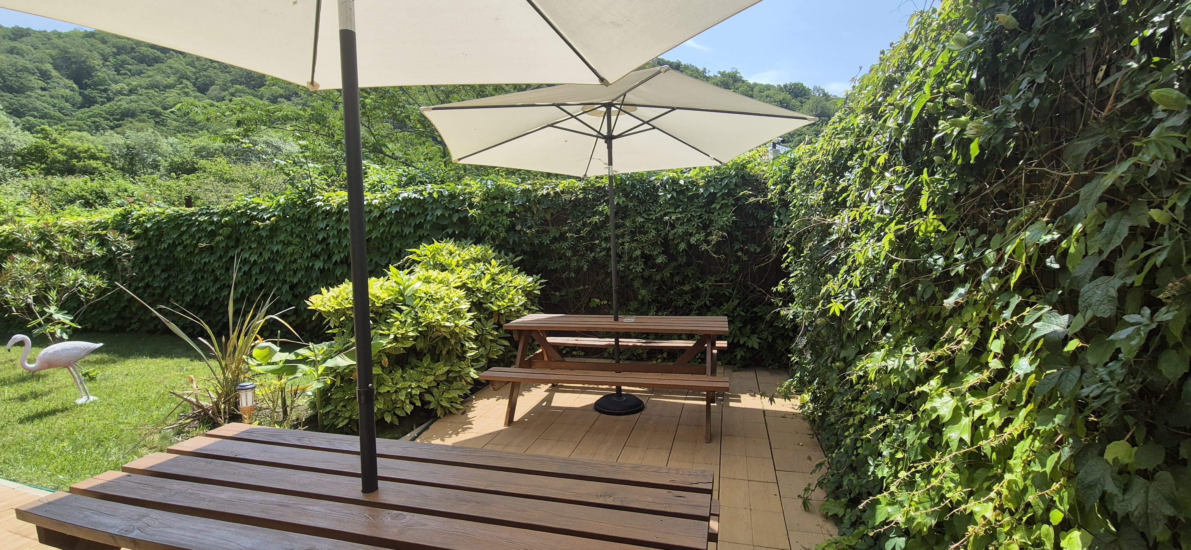 Фото Баунти