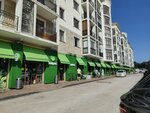 Табрис (Mira Street, 44лит1), cafe