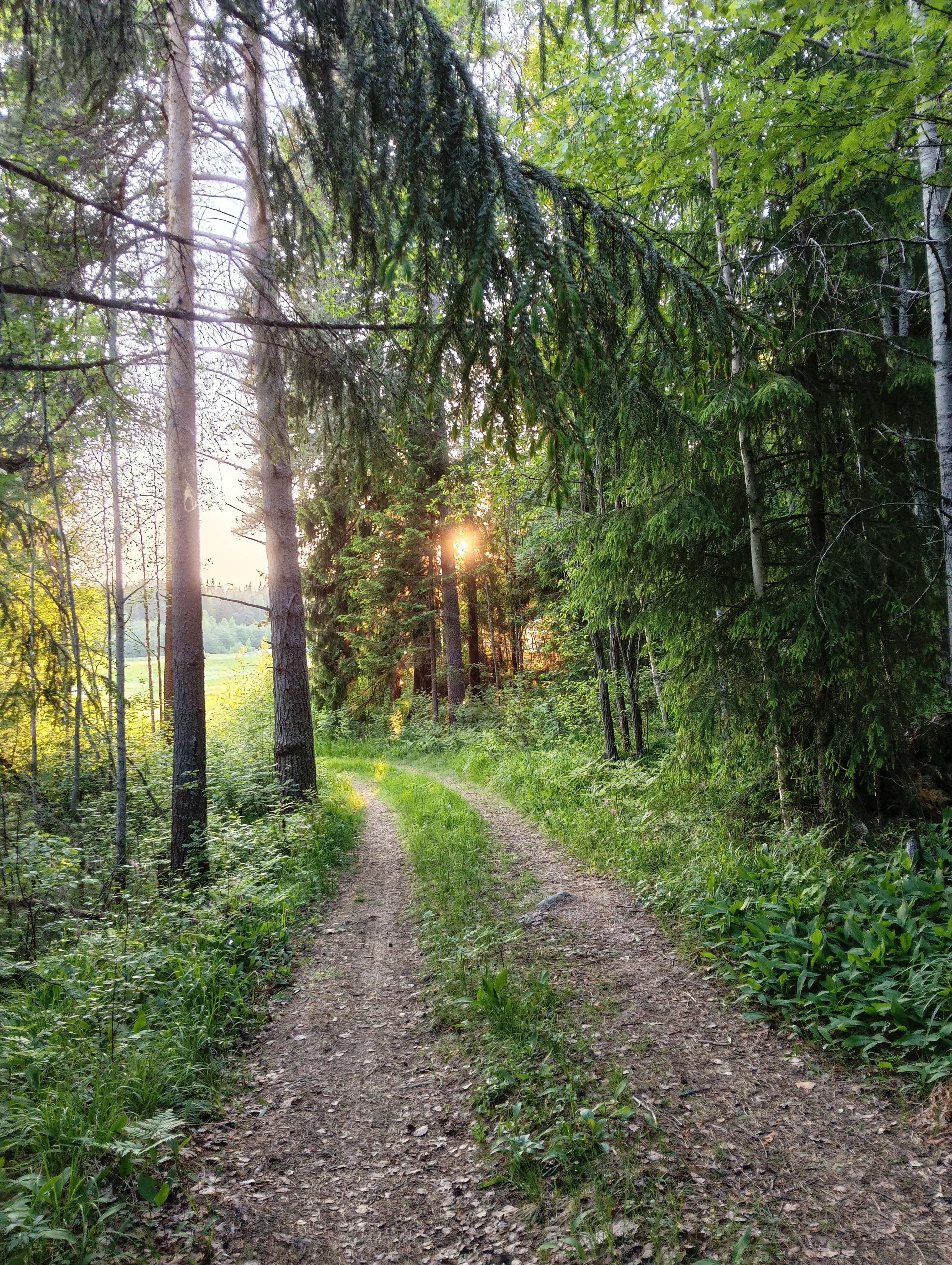 Фото Хутор ЛихKoff