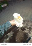 Shaurma one (Lenina Avenue, 35/20), fast food
