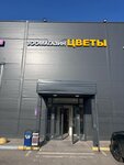Пушистый конгресс (Domodedovo Village, Forvard Cottage Settlement, 1), pet shop
